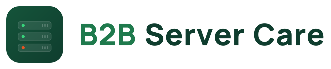 B2B Server Care